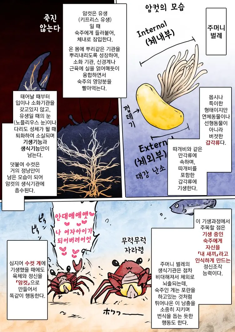 Fukuromushi No Obake Ni Kisei Sareru Kanikei Joshi